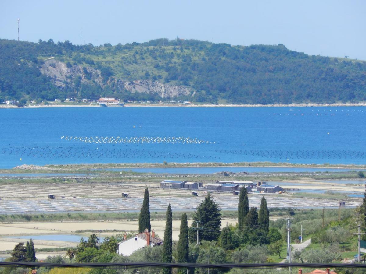 Apartment Sunset View Portoroz Bagian luar foto